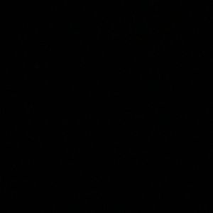 Meet your Posher, Shatarence